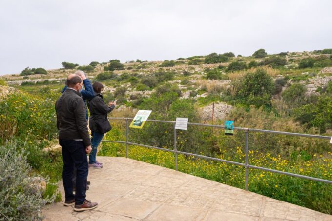 Prehistoric Temples of Malta Tour - Discovering Intricately Carved Stonework