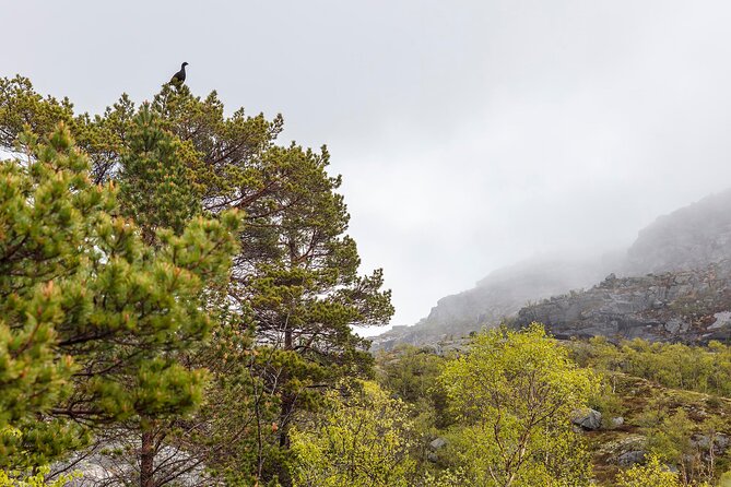 Preikestolen Hidden Trail Hike and Canoe Trip - Canoeing on the Fjord