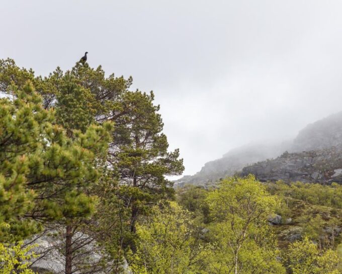Preikestolen Hidden Trail Hike + Canoe Trip - Gear and Equipment