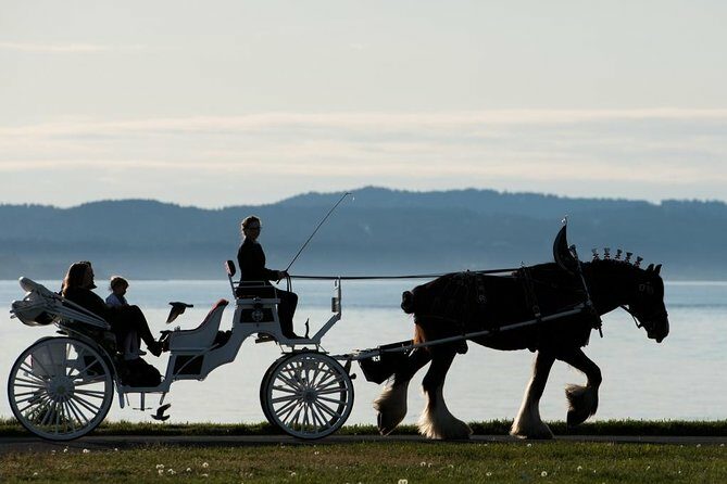 Premier Horse-Drawn Carriage Experience in Victoria - An Overview of the Experience