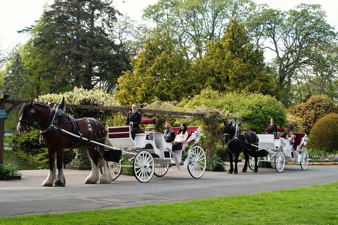 Premier Horse-Drawn Carriage Experience in Victoria - Meeting Points and Practical Info