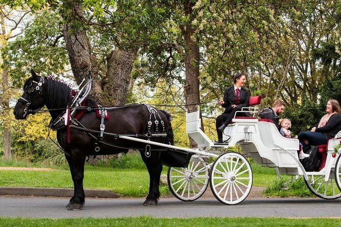 Premier Horse-Drawn Carriage Experience in Victoria - What the Reviews Say
