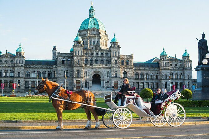 Premier Horse-Drawn Carriage Experience in Victoria - Analyzing Value