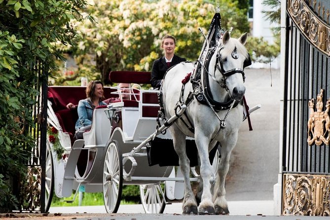 Premier Horse-Drawn Carriage Experience in Victoria - Professional and Knowledgeable Drivers