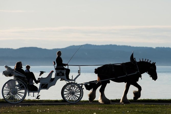 Premier Horse-Drawn Carriage Experience in Victoria - Cozy Carriage Amenities