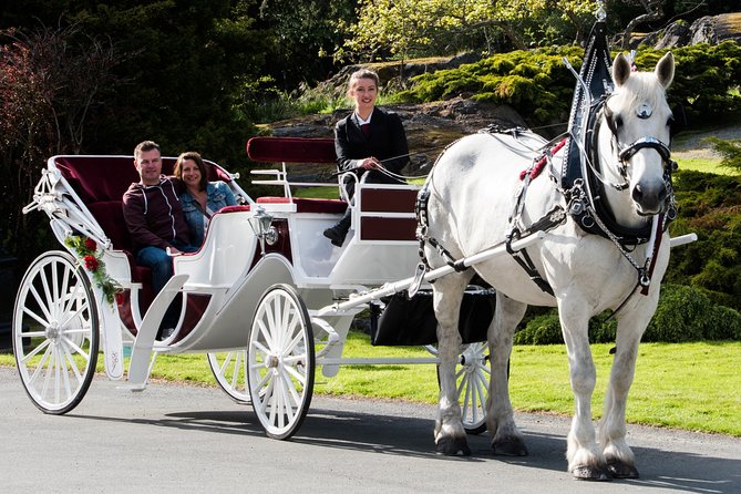 Premier Horse-Drawn Carriage Experience in Victoria - Accessibility and Accommodations