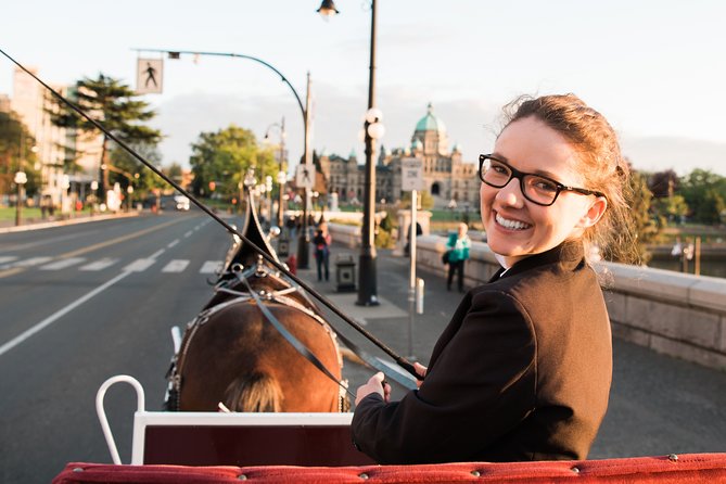 Premier Horse-Drawn Carriage Experience in Victoria - Exceptional Customer Reviews