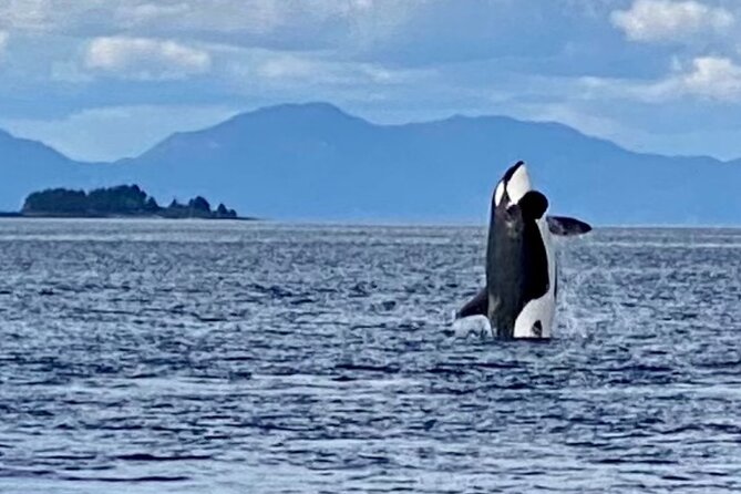 Premier Land and Sea Discount Package - Wildlife Sightings