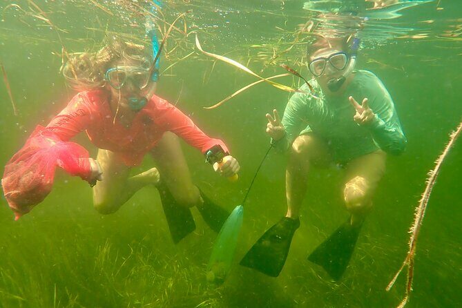 Premier Scalloping Adventure on Florida's Nature Coast - Who Will Love This Tour?