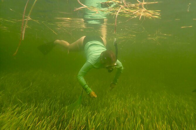 Premier Scalloping Adventure on Florida's Nature Coast - Final Thoughts: Is It Worth It?