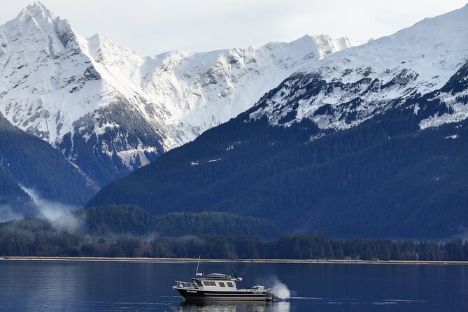 Premier Whale Watching and Wildlife Tour - Wildlife Sightings