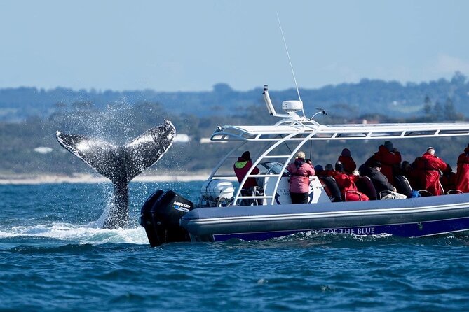 Premier Whale Watching Byron Bay - Protecting Against the Elements