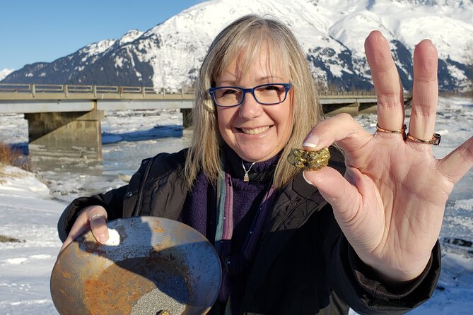 Premiere City Tour of Anchorage-Mountain Views & Native Culture - Tour Overview