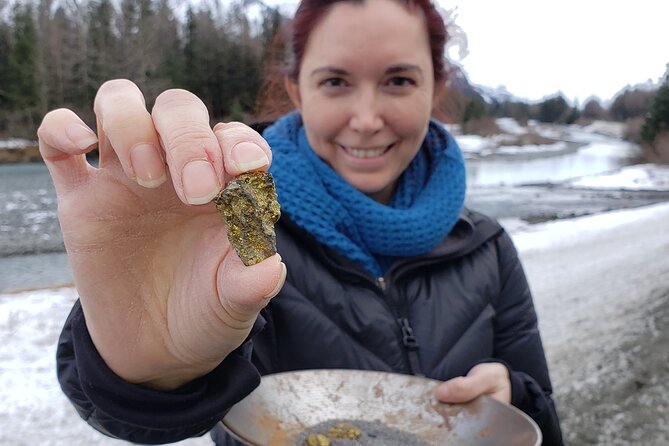 Premiere City Tour of Anchorage-Mountain Views & Native Culture - Traveler Experiences