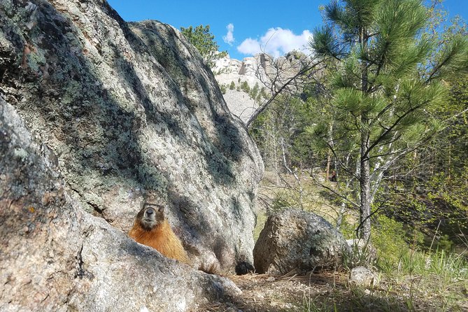Premiere Private Black Hills Tour: Mt Rushmore, Crazy Horse & Custer State Park - Sights Visited
