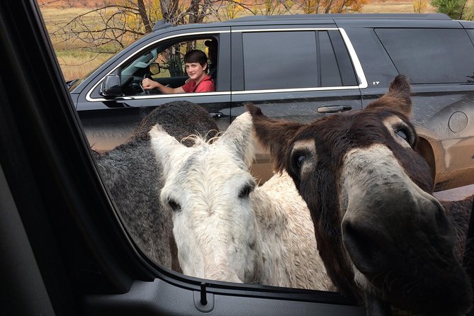 Premiere Private Black Hills Tour: Mt Rushmore, Crazy Horse & Custer State Park - Additional Information