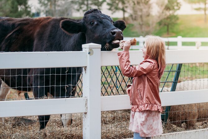 Premium Amish Country Tour Including Amish Farm and House - Meeting and Pickup