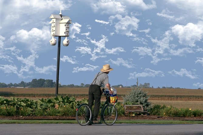 Premium Amish Country Tour Including Amish Farm and House - What to Expect