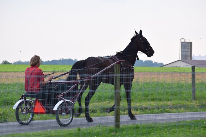 Premium Amish Country Tour Including Amish Farm and House - Guided Farm Tours