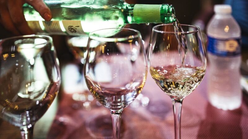 Premium Argentinian Wines and Malbec Tasting Experience - Wine Selection and Tasting