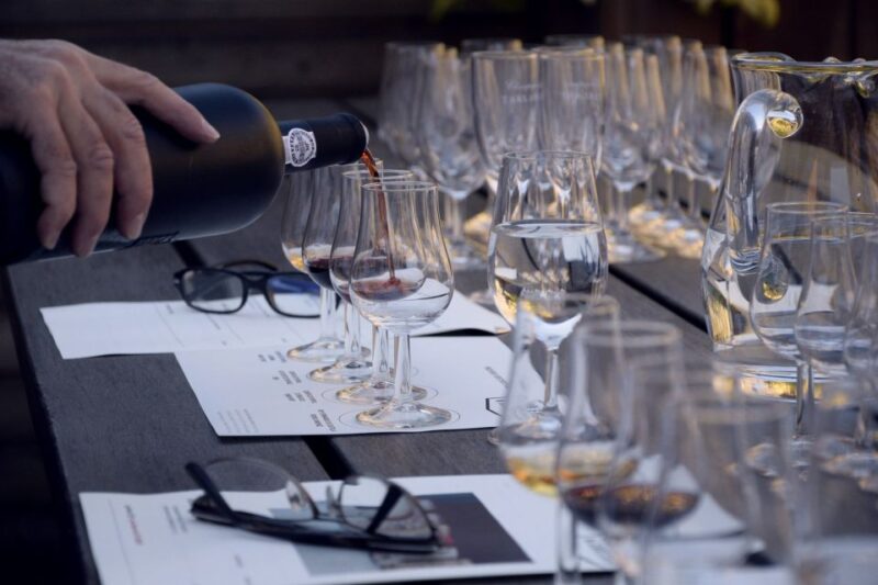 Premium Argentinian Wines and Malbec Tasting Experience - Participant Suitability