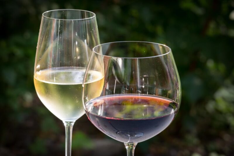 Premium Argentinian Wines and Malbec Tasting Experience - Customer Reviews