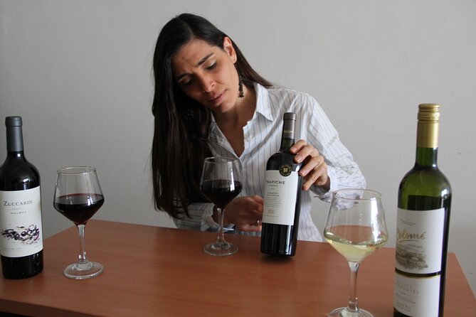 Premium Argentinian Wines and Malbec Tasting & Urban Art Tour - Tour Highlights and Reviews