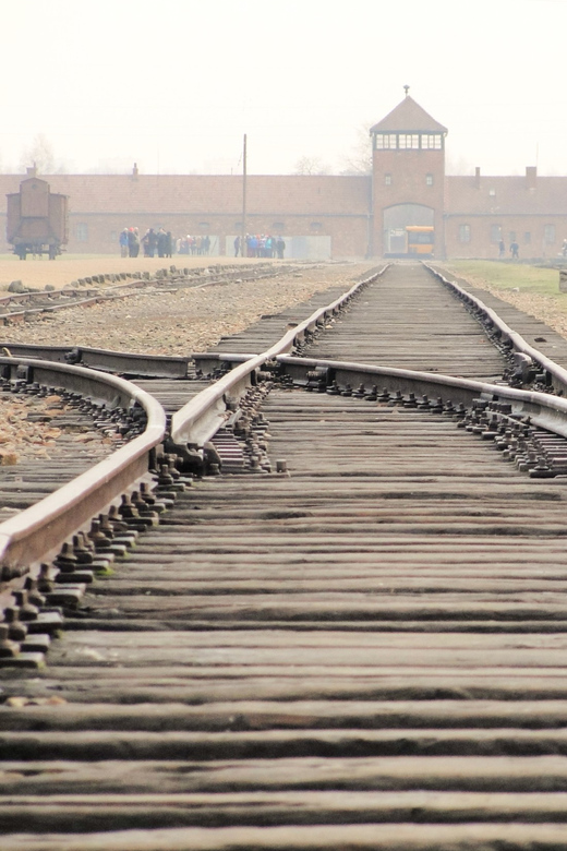 Premium Auschwitz-Birkenau Guided Tour From Krakow - Visitor Requirements and Restrictions