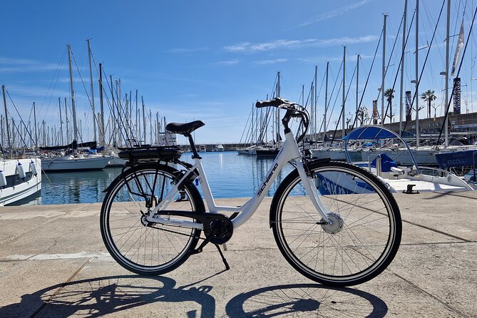 Premium Bike Rental in Barcelona - Quick Points