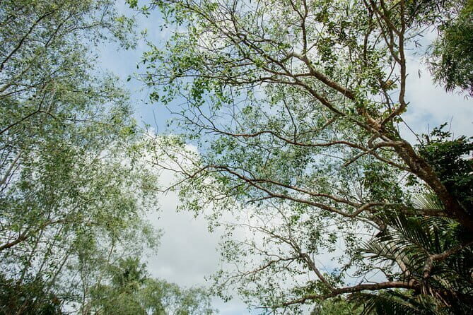 Premium Can Tho Small Canal Tour in Mekong Delta - A Closer Look at the Itinerary