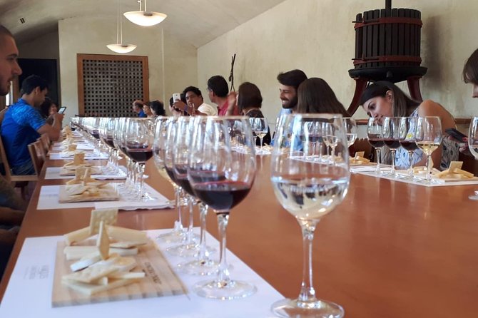 Premium Concha Y Toro Winery Tour With Wine and Cheese Tastings From Santiago - Additional Information