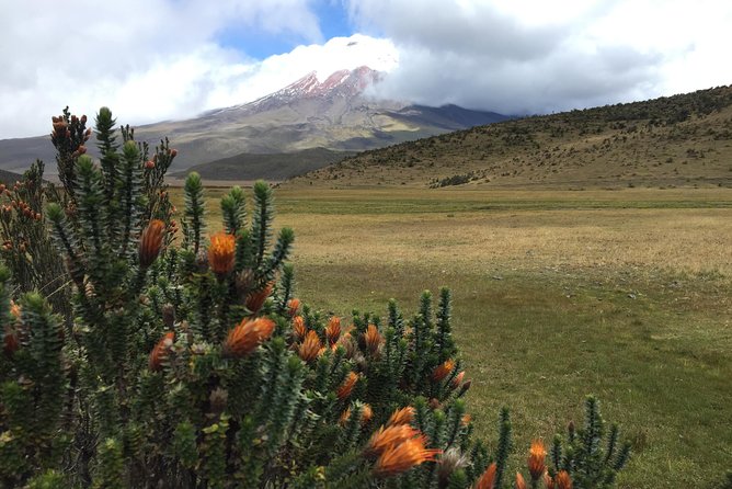 Premium Cotopaxi Full Day Tour - Limpiopungo Lagoon Exploration