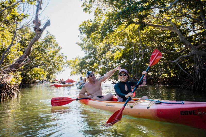 Premium Day Sail, Snorkel &, Kayak With Lunch - Itinerary and Activities