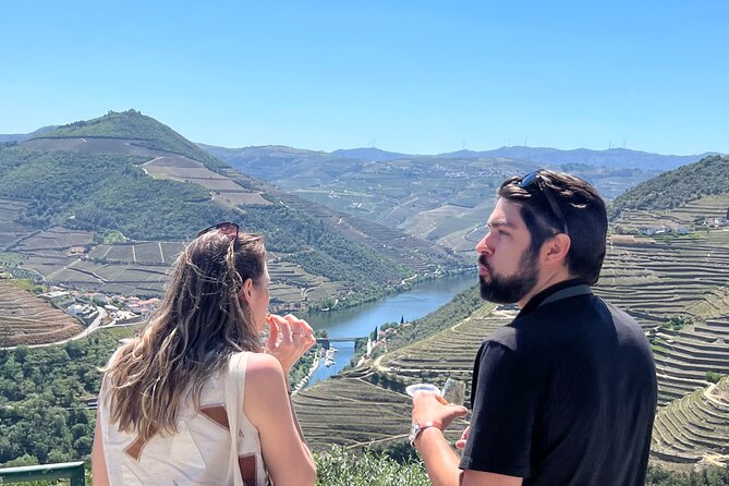 Premium Day Tour and Wine Tasting at Douro Valley - Inclusions and Logistics