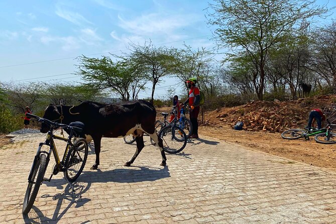 Premium Delhi Aravalli Organic Cycle Tour - a Glimpse of Real and Rural India - Inclusions
