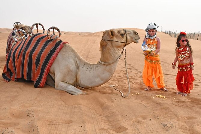 Premium Desert Safari With BBQ Dinner & Belly Dance - Pickup and Drop-off Options
