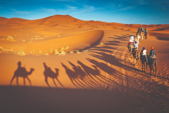 Premium Desert Safari With BBQ Dinner - Dubai - Inclusions and Highlights