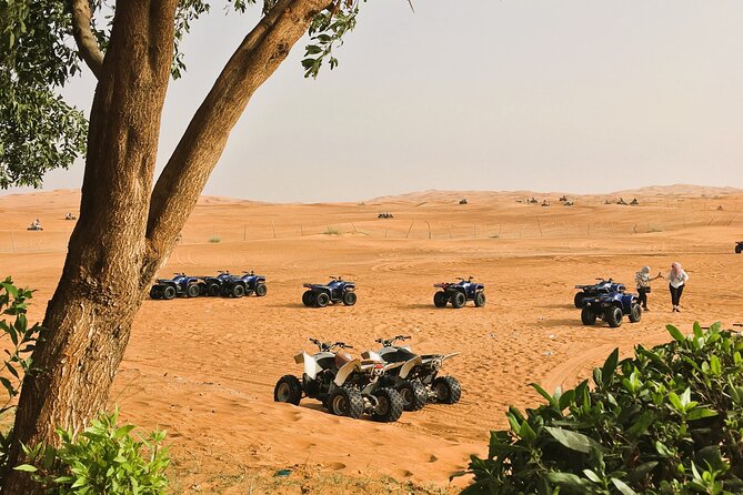 Premium Dubai Desert Safari 4x4 With BBQ Dinner - Accessibility and Participation