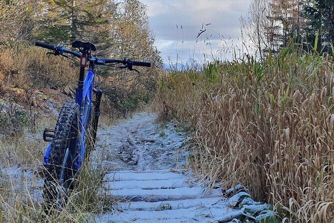 Premium Ebike Rental - Customer Feedback and Reviews