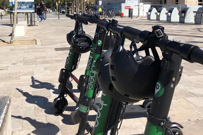 Premium Electric Scooter Rental With Optional Delivery - Customer Reviews