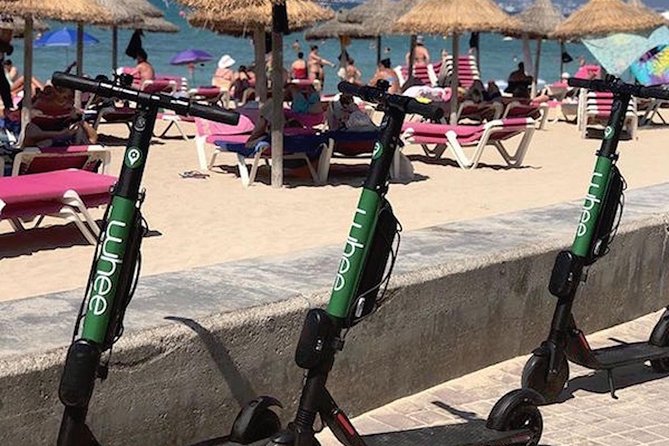 Premium Electric Scooter Rental With Optional Delivery - Rental Inclusions