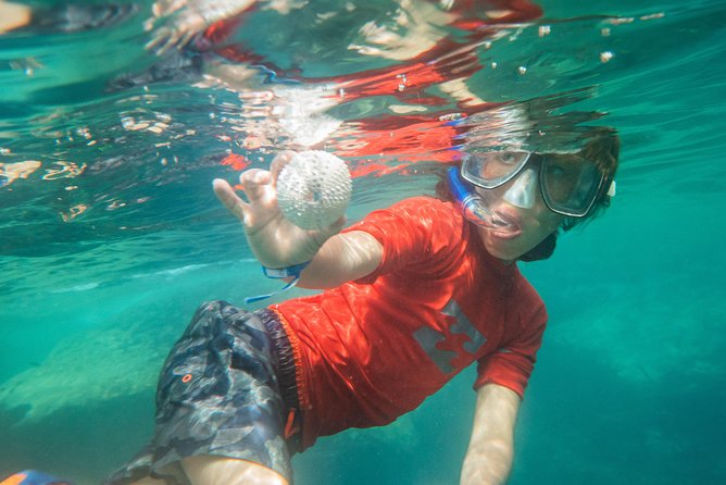 Premium Family Snorkeling Experience - Reviews and Ratings