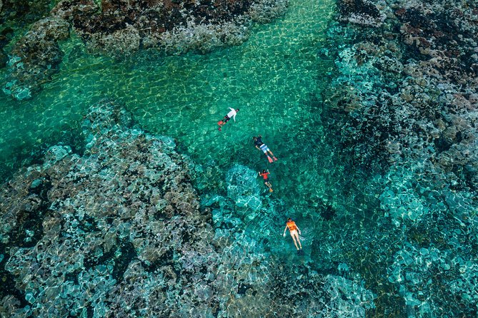 Premium Family Snorkeling Experience - Frequently Asked Questions