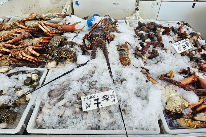 Premium Foodie Tour in Panama Casco Viejo - Meeting and Pickup