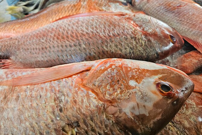 Premium Foodie Tour in Panama Casco Viejo - Exploring Casco Viejo