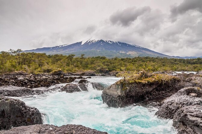 Premium Full Day Shared Tour Osorno Volcano and Petrohue Falls - Key Points