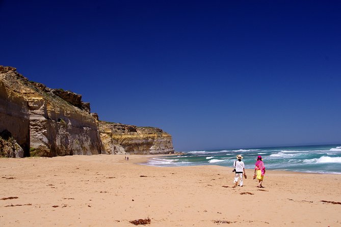 Premium Great Ocean Road Day Tour: Surf Coast Route 12 Apostles, Loch Ard Gorge - Reviews