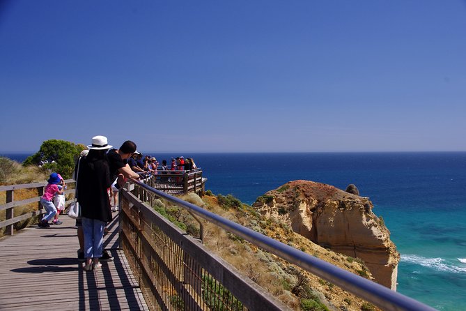 Premium Great Ocean Road Day Tour: Surf Coast Route 12 Apostles, Loch Ard Gorge - Snacks and Dining