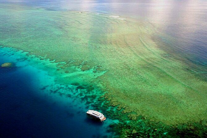 Premium Guided Dive Trip - Outer Great Barrier Reef - Final Thoughts