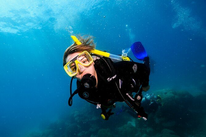 Premium Guided Dive Trip - Outer Great Barrier Reef - Frequently Asked Questions
